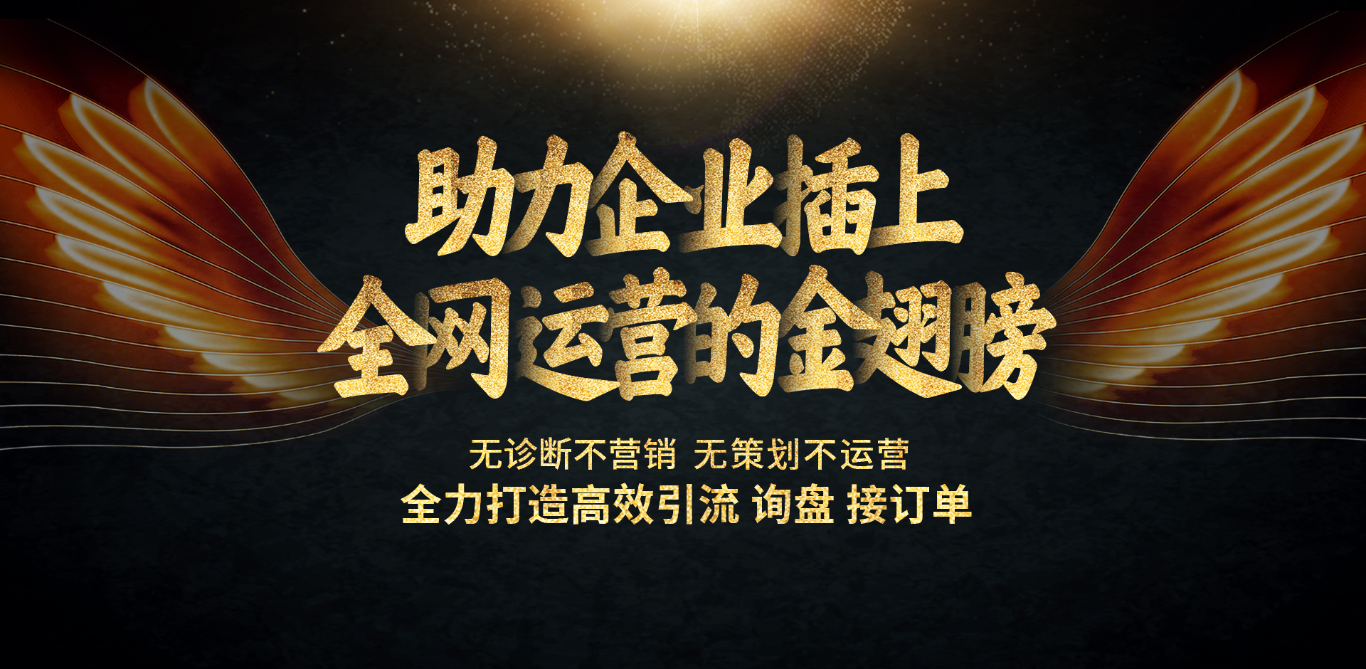 多邦尼推广